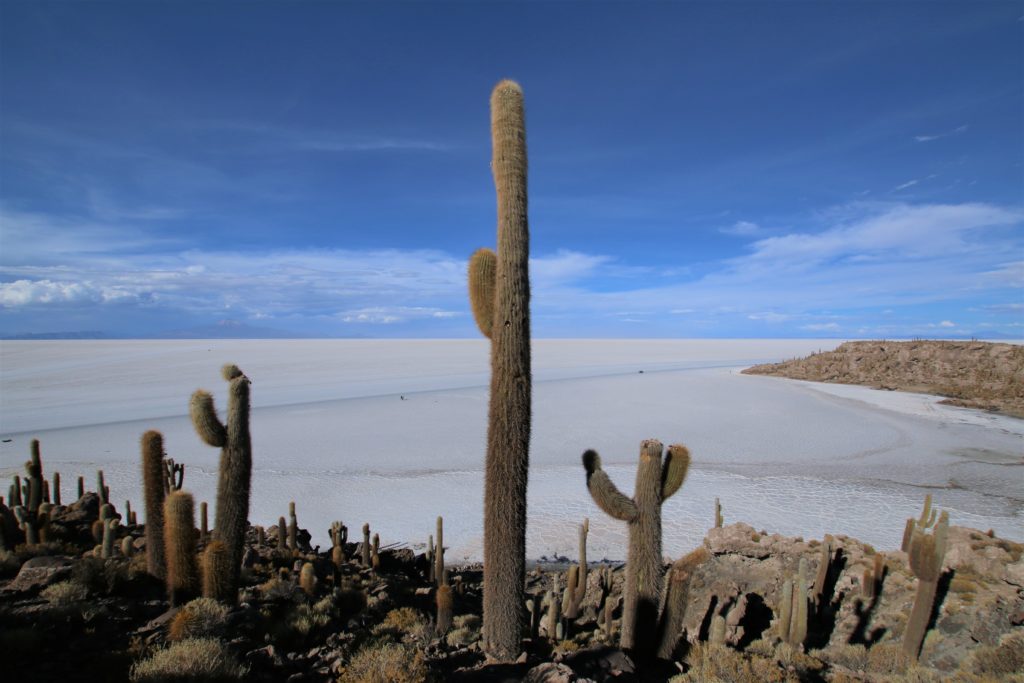salar de uyuni