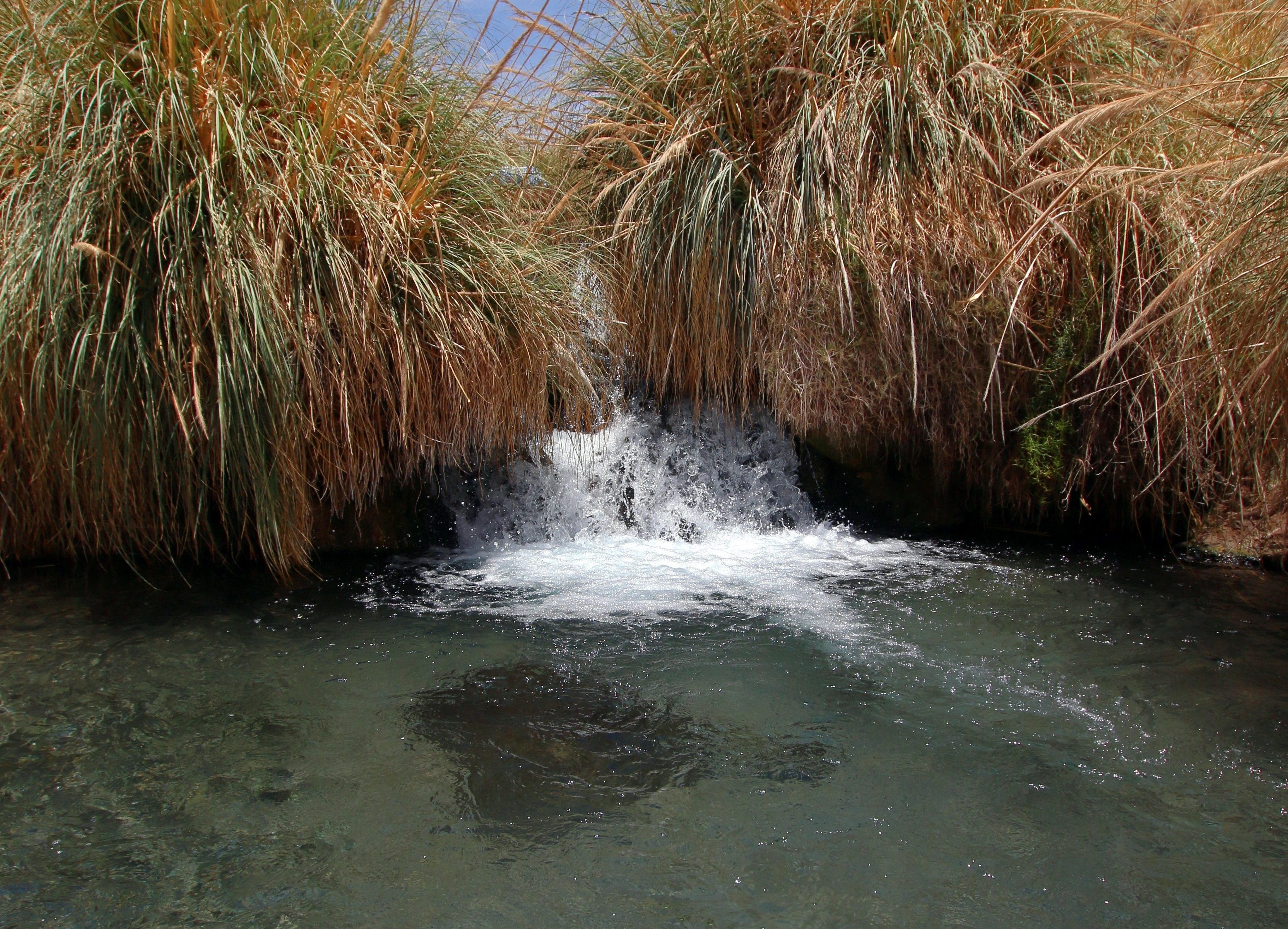 Roteiro Atacama: Termas de Puritama e Lagunas Cejar