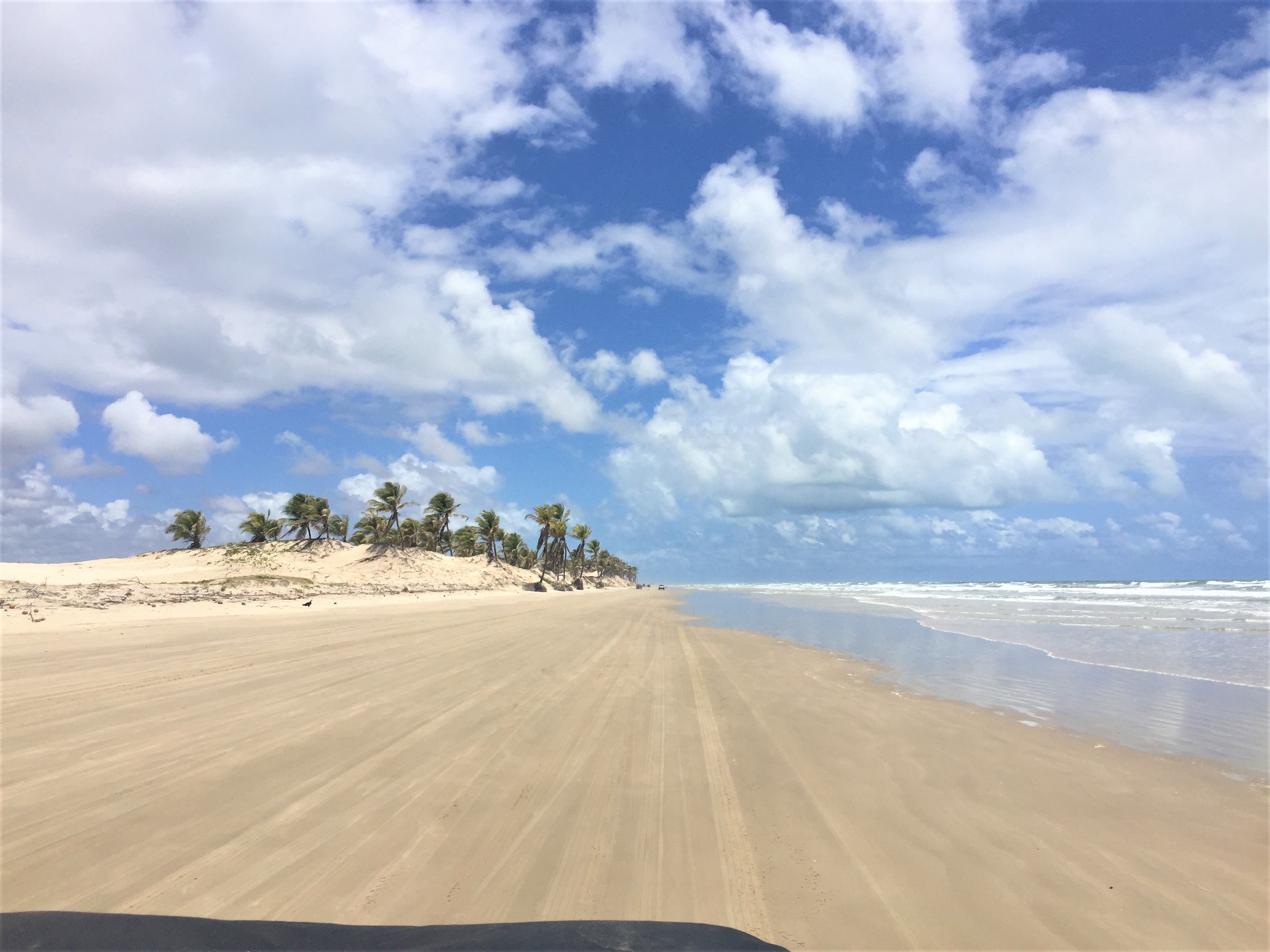 Os Melhores Passeios Para Fazer em Aracaju