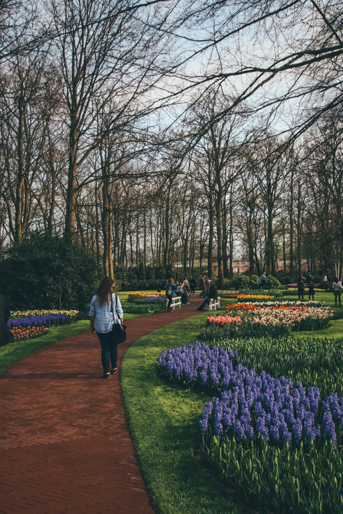 parque keukenhof holanda