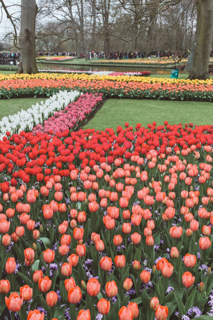 cidades para visitar na holanda