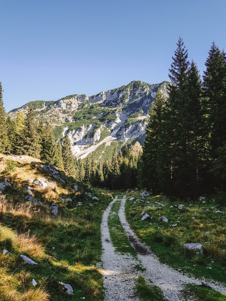 trilha parque triglav