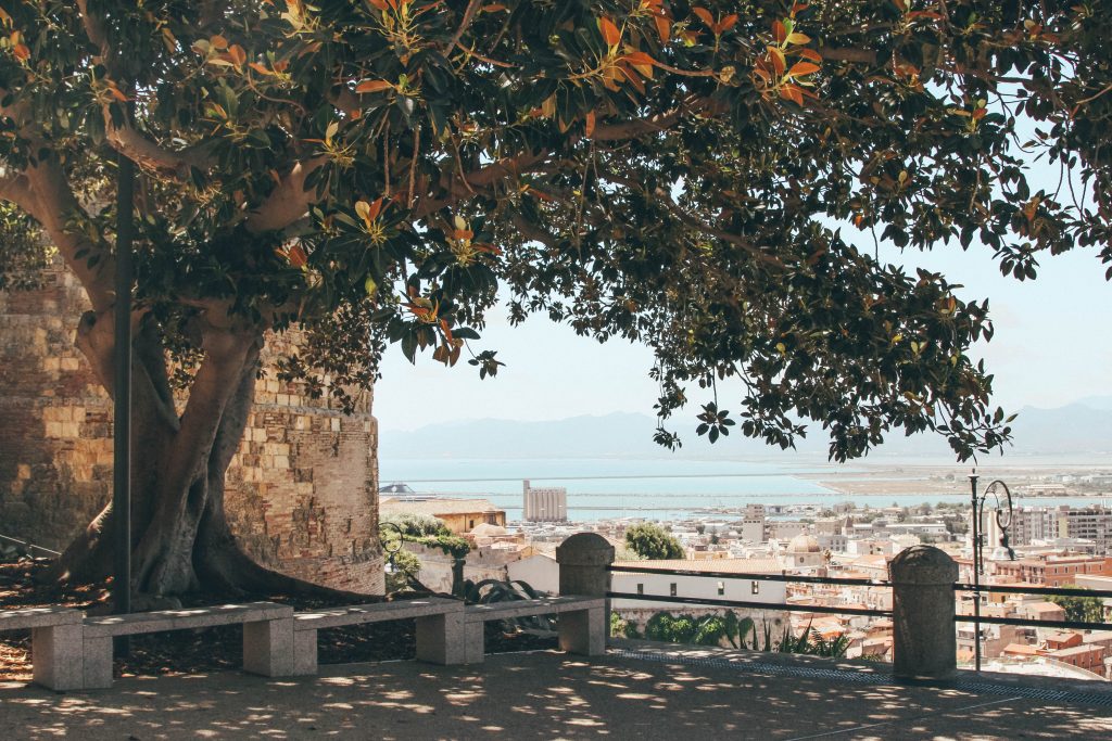 gelato de cagliari