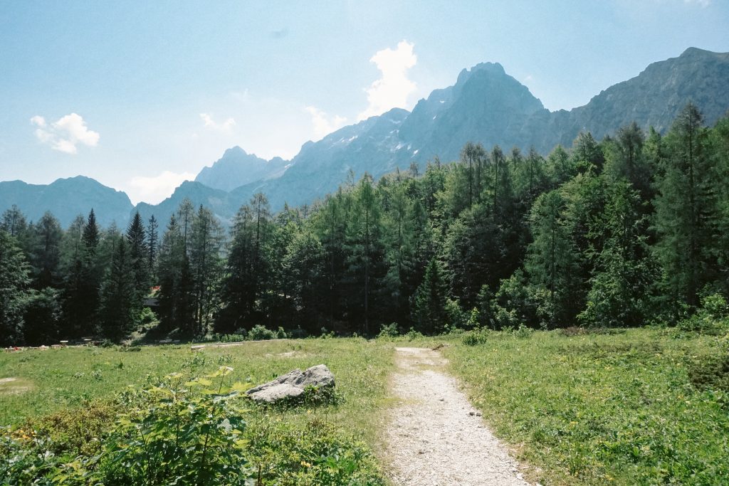 trilha logar