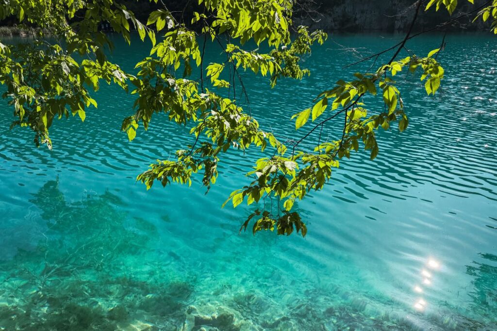 agua muito clara no parque plitvice