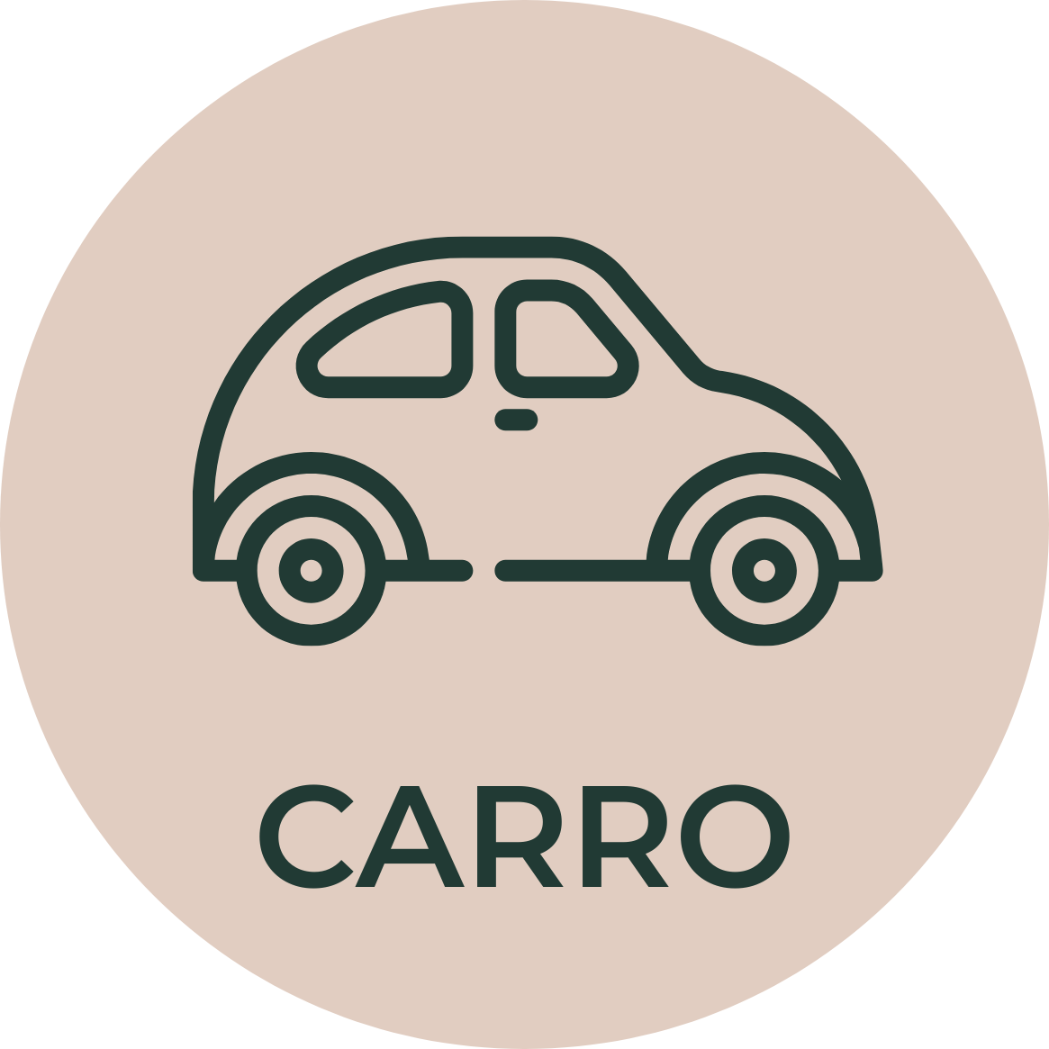 Icone carro