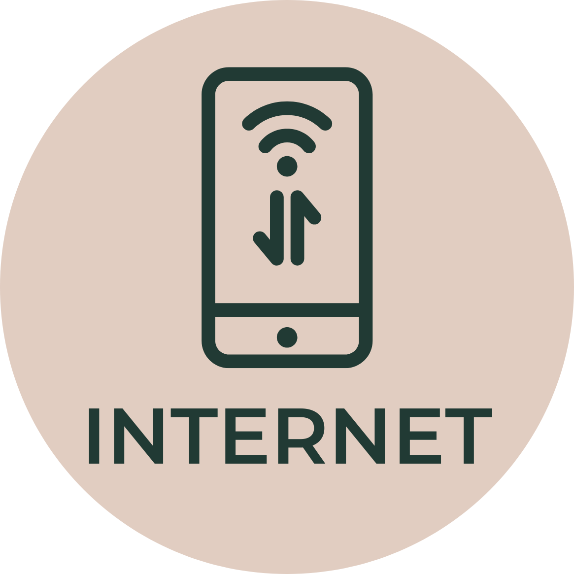 Icone internet