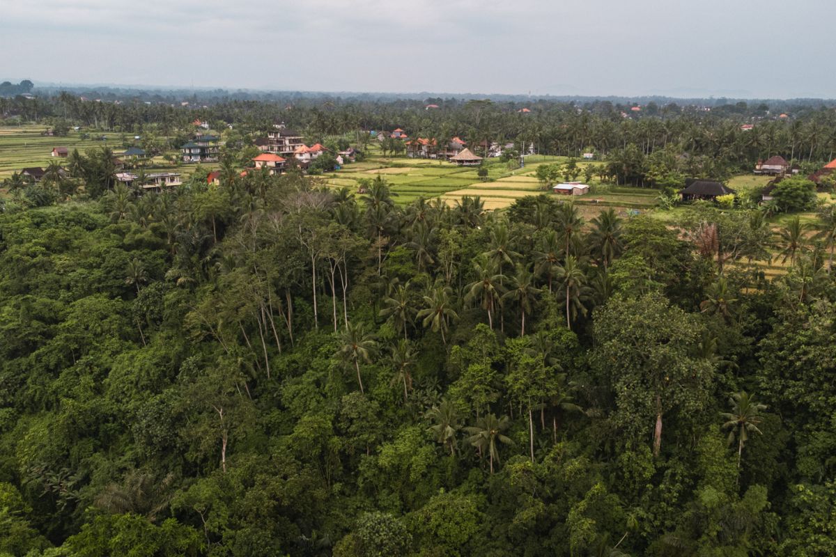 paisagem em bali na indonesia
