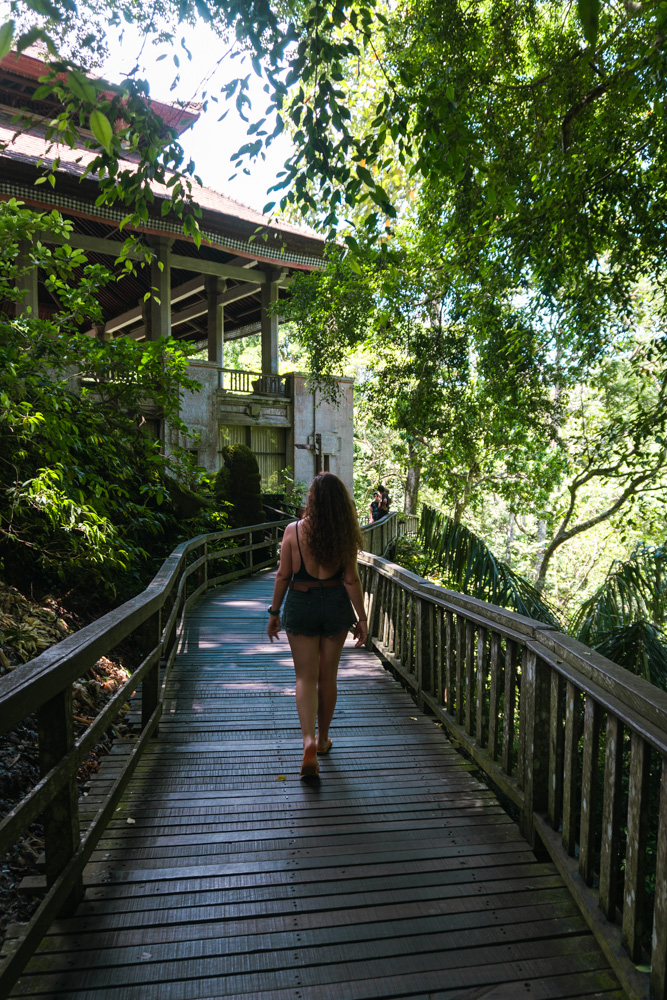 floresta dos macacos em ubud