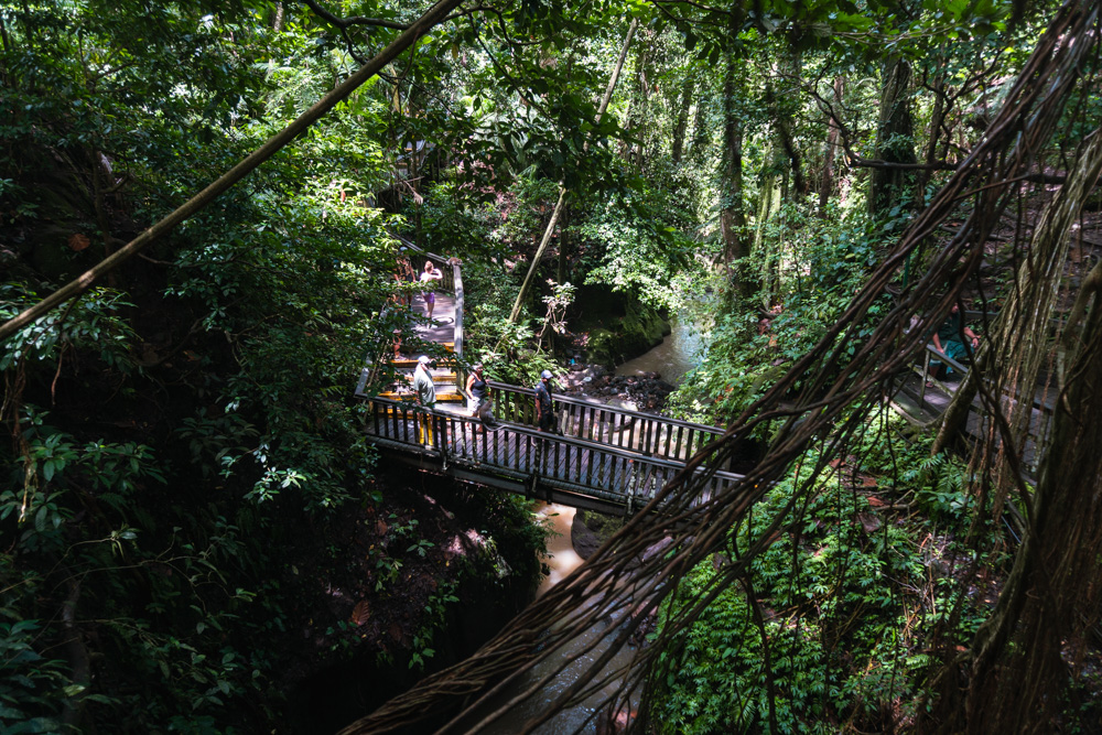 floresta dos macacos em ubud