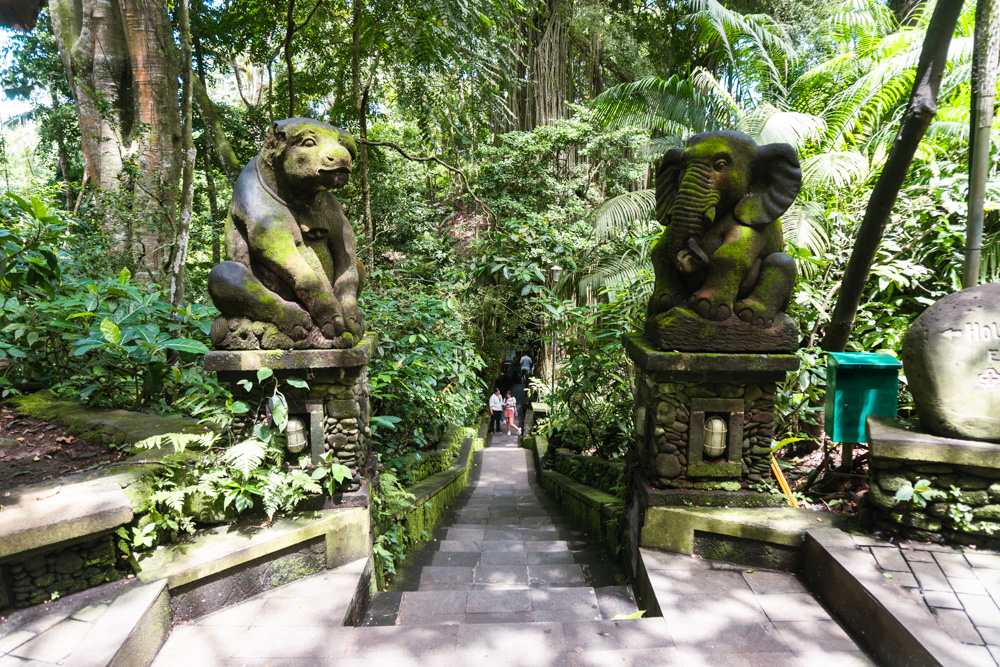 floresta dos macacos em ubud